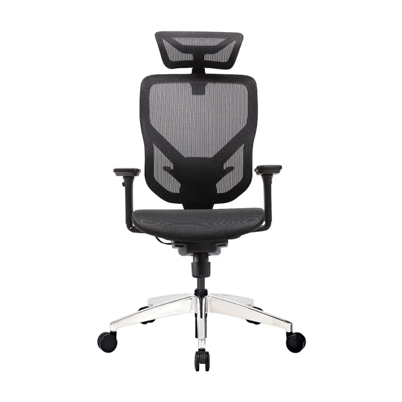 GTCHAIR VIDA-M (黑/灰兩色) 人體工學電競椅 - 灰色