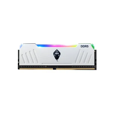 ANACOMDA ET RGB 32GB(2x16GB) 3600 MHz DDR4 UDIMM CL40 黑/白 電競記憶體 - 黑色