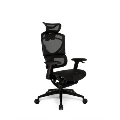 Zenox Nebula Office 人工體學 Gaming Chair (5年保養)