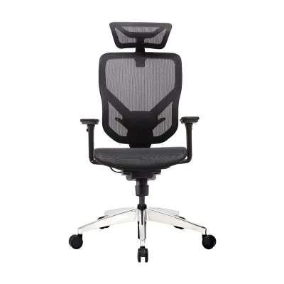 GTCHAIR VIDA-M (黑/灰兩色) 人體工學電競椅 - 灰色