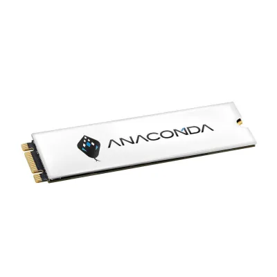 ANACOMDA i3 256/512/1TB/2TB 3D TLC M.2 NVMe PCIe 3.0 x4 SSD - 256GB