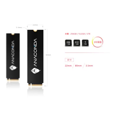 ANACOMDA i2 512/1TB M.2 NVMe PCIe 3.0 x4 SSD - 512GB