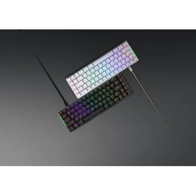 ROG FALCHION ACE NX A電競鍵盤